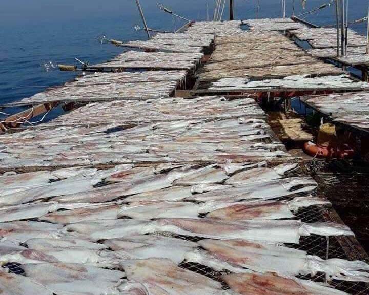 Mực khô được các ngư dân xã Quỳnh Lập phơi trên tàu (ảnh Lê Bá Kỷ cung cấp)