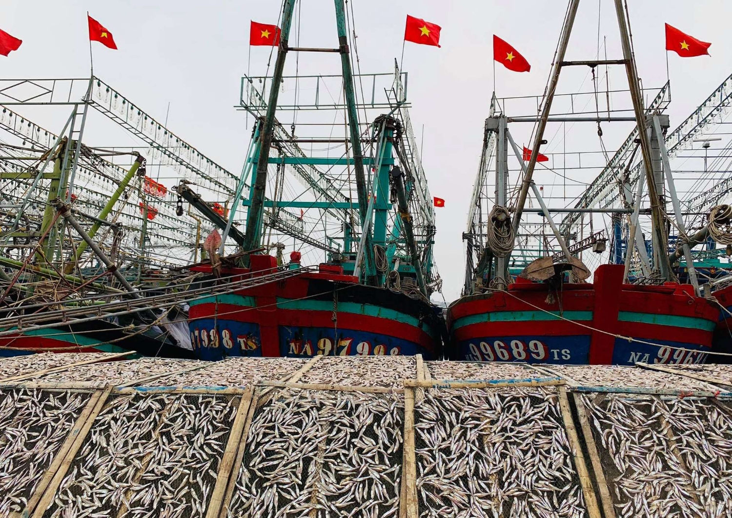 Sản lượng khai thác hải sản của xã Quỳnh Lập chủ yếu là cá cơm